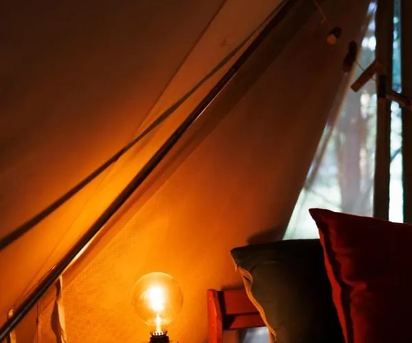 Glamping - Projekt Alpaka
