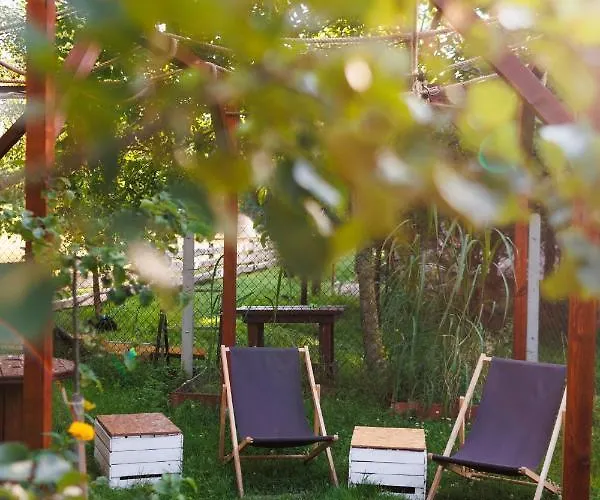 Glamping - Projekt Alpaka
