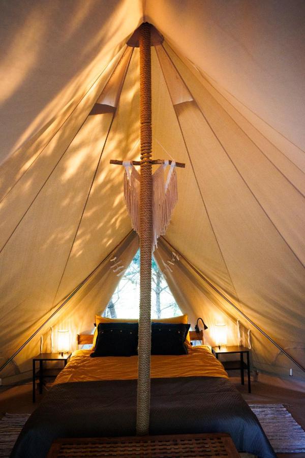 Glamping - Projekt Alpaka