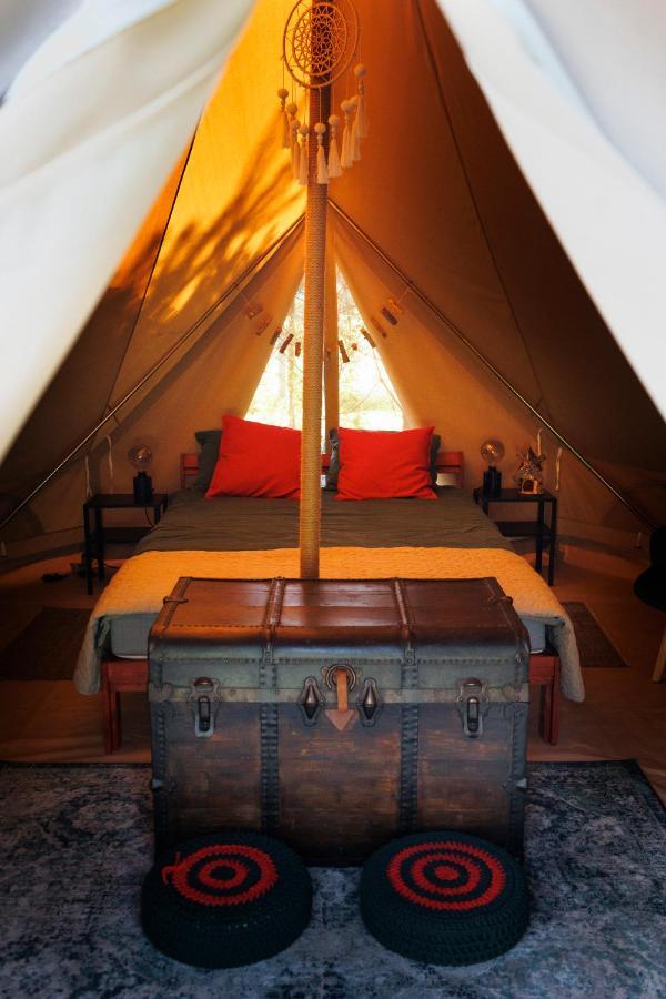 Luxuszelt Glamping - Projekt Alpaka